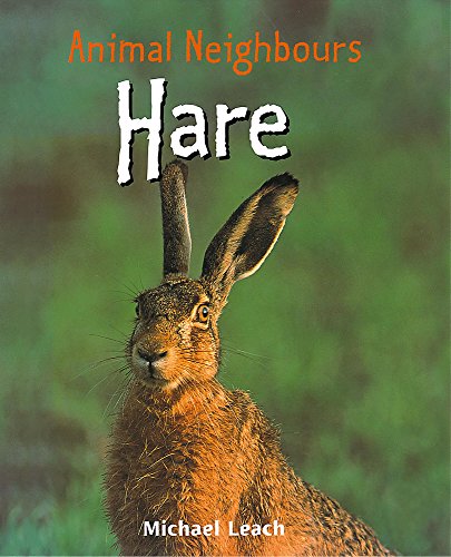 Beispielbild fr Animal Neighbours: Hare zum Verkauf von WorldofBooks