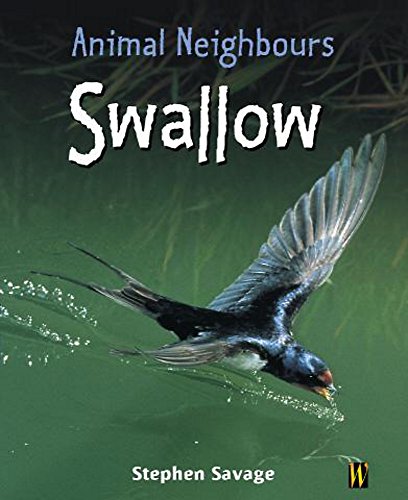 Beispielbild fr Animal Neighbours: Swallow zum Verkauf von WorldofBooks