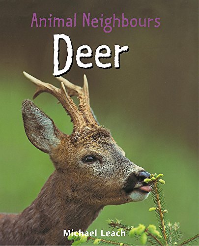 Beispielbild fr Animal Neighbours: Deer zum Verkauf von WorldofBooks