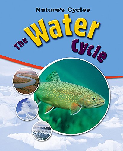 9780750253581: The Water Cycle