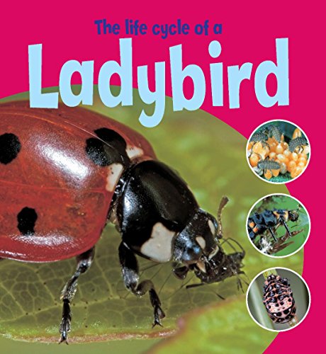 The Life Cycle of a Ladybird (Learning About Life Cycles) (9780750255981) by Thomson, Ruth