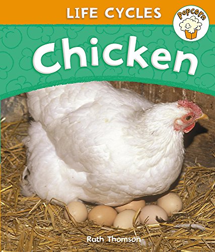 Chicken (Popcorn: Life Cycles) (9780750257848) by Thomson, Ruth