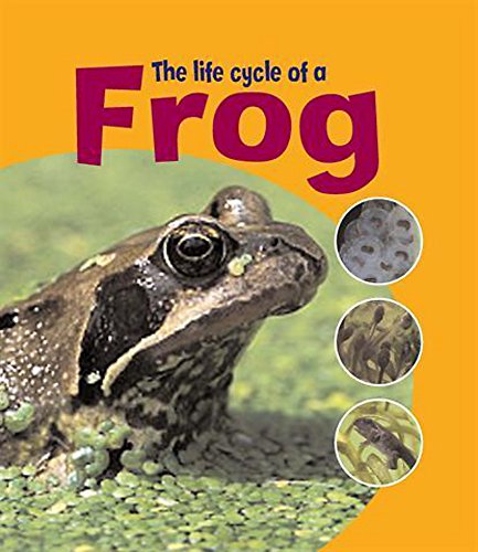 Beispielbild fr The Life Cycle of A Frog (Learning About Life Cycles) zum Verkauf von Reuseabook