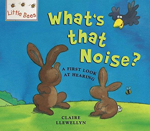 The Best Ears In The World: A first look at sound and hearing (Little Bees) - Llewellyn, Claire