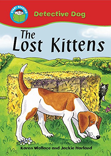 Beispielbild fr The Lost Kittens zum Verkauf von WorldofBooks