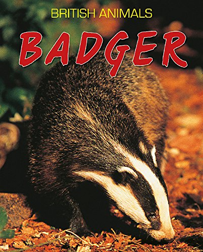 Beispielbild fr British Animals: Badger zum Verkauf von WorldofBooks