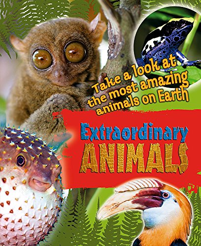 Beispielbild fr Extraordinary Animals zum Verkauf von WorldofBooks