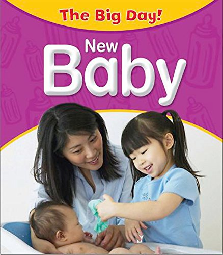 Imagen de archivo de The Big Day: a New Baby Arrives a la venta por Better World Books Ltd