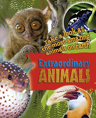 Beispielbild fr Extraordinary Animals zum Verkauf von WorldofBooks
