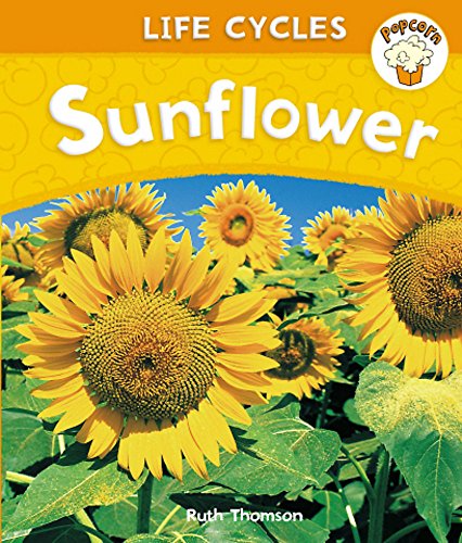 Popcorn: Life Cycles: Sunflower (9780750272032) by Ruth Thomson