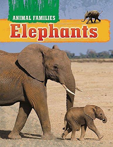 Beispielbild fr Elephants zum Verkauf von WorldofBooks