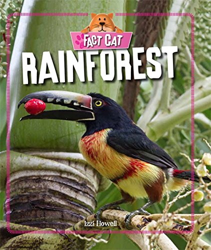 Beispielbild fr Rainforest (Fact Cat: Habitats) zum Verkauf von WorldofBooks