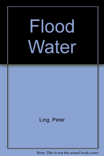 9780750507578: Flood Water