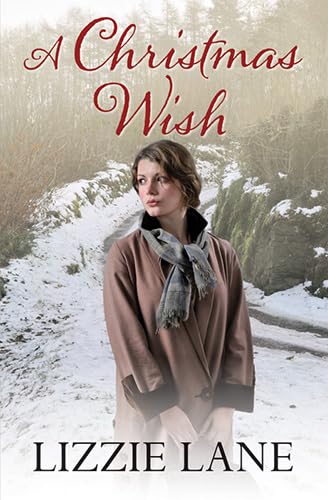 Beispielbild fr A Christmas Wish zum Verkauf von WorldofBooks