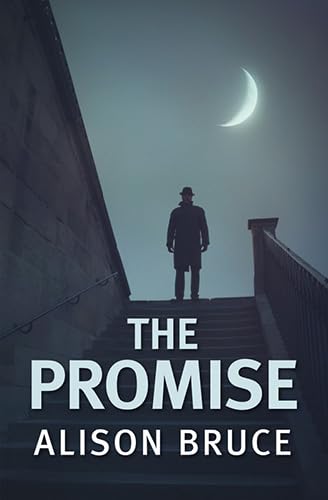 9780750540186: The Promise