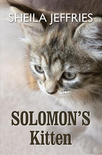 Imagen de archivo de Solomon's Kitten a la venta por Better World Books Ltd