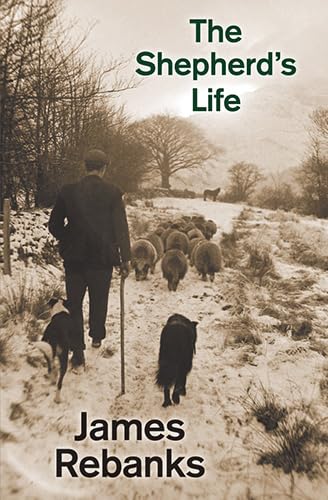 Imagen de archivo de The Shepherd's Life : Modern Dispatches from an Ancient Landscape a la venta por Better World Books Ltd