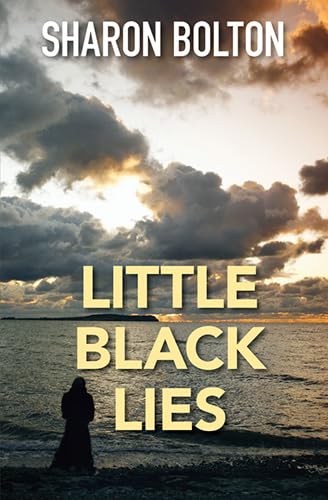 Imagen de archivo de Little Black Lies a la venta por Better World Books Ltd