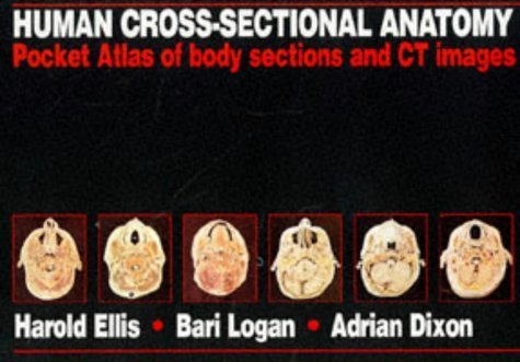 Beispielbild fr Human Cross-Sectional Anatomy: Pocket Atlas of Body Sections and CT Images zum Verkauf von BooksRun