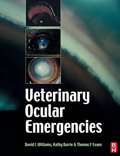 Imagen de archivo de Handbook of Veterinary Ocular Emergencies a la venta por Upward Bound Books