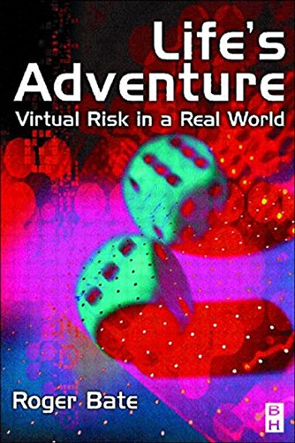 Stock image for Life's Adventure: Virtual Risk in a Real World for sale by ThriftBooks-Atlanta