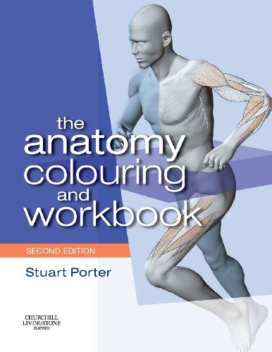 Beispielbild fr The Anatomy Colouring and Workbook zum Verkauf von WorldofBooks