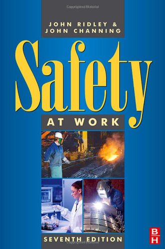 9780750680356: Safety at Work