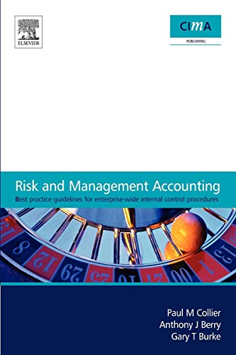 Imagen de archivo de Risk and Management Accounting : Best Practice Guidelines for Enterprise-Wide Internal Control Procedures a la venta por Better World Books Ltd