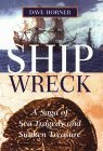 Stock image for Shipwreck: A Tale of Sea Tragedy and Sunken Treasure for sale by AwesomeBooks