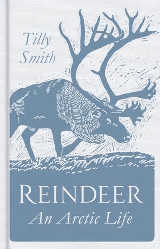 Stock image for Reindeer An Arctic Life for sale by Ryde Bookshop Ltd