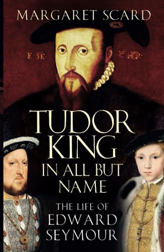 9780750993944: Tudor King in All But Name: The Life of Edward Seymour