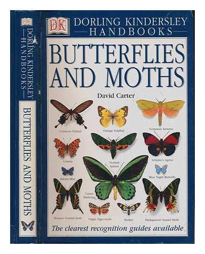 9780751310023: Eyewitness Handbook: 03 Butterflies & Moths