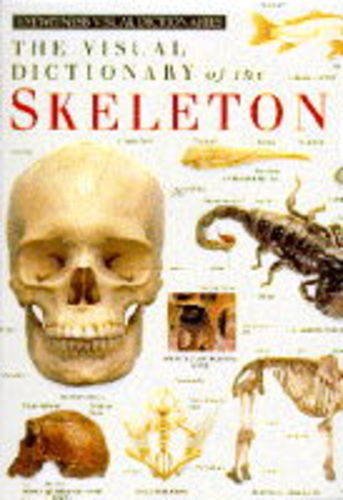 Beispielbild fr The Visual Dictionary of the Skeleton (Eyewitness Visual Dictionaries) zum Verkauf von Anybook.com