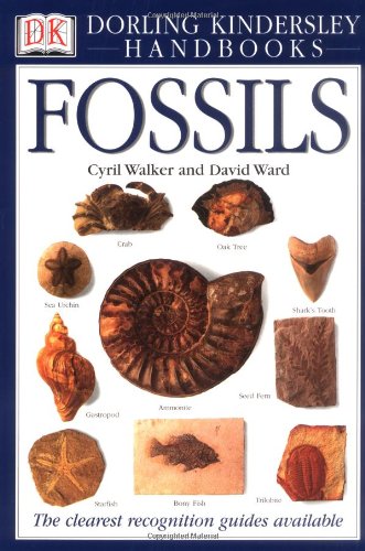 Imagen de archivo de Fossils a la venta por Better World Books Ltd