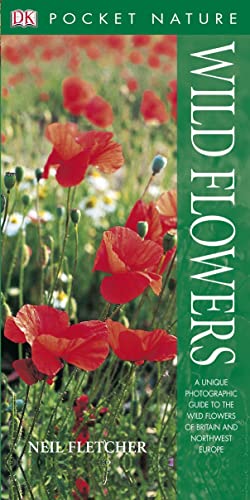 Beispielbild fr Wild Flowers (Pocket Nature) zum Verkauf von WorldofBooks