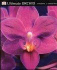 Beispielbild fr Ultimate Orchid zum Verkauf von WorldofBooks