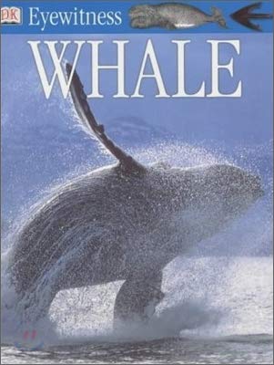 Stock image for Whale (Eyewitness) for sale by WorldofBooks