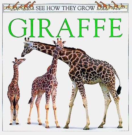 Imagen de archivo de See How They Grow: 16 Giraffe a la venta por WorldofBooks