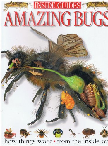Imagen de archivo de Amazing Bugs a la venta por WorldofBooks