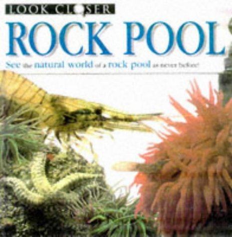 Stock image for Rock Pool (Look Closer) for sale by GF Books, Inc.