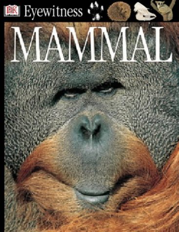 Beispielbild fr Mammal (Eyewitness) zum Verkauf von WorldofBooks