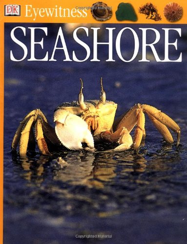 Beispielbild fr Seashore (Eyewitness) zum Verkauf von Goldstone Books