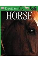 Stock image for Horse for sale by Better World Books Ltd