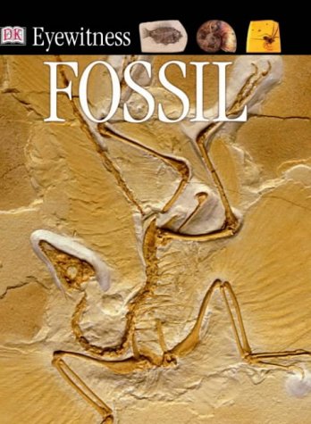 9780751364866: Fossil (DK Eyewitness)