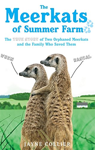 Imagen de archivo de The Meerkats of Summer Farm a la venta por Blackwell's
