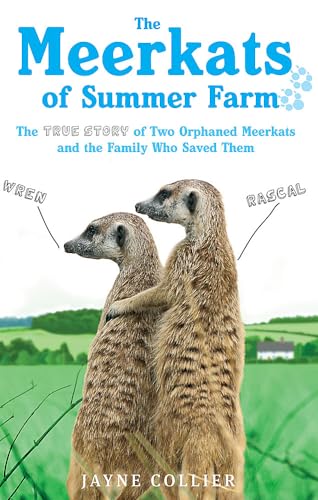 Stock image for The Meerkats of Summer Farm: The True Story of Two Orphaned Meerkats and the Family Who Saved Them for sale by ThriftBooks-Dallas