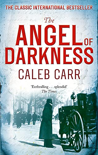 9780751547276: The Angel Of Darkness: Number 2 in series