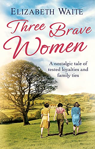 Imagen de archivo de Three Brave Women a la venta por WorldofBooks