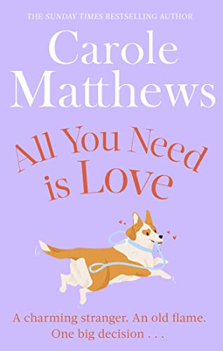 9780751551488: All You Need is Love: The uplifting romance from the Sunday Times bestseller