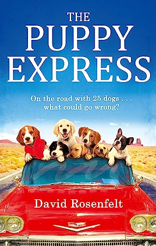 Stock image for The Puppy Express for sale by ThriftBooks-Dallas